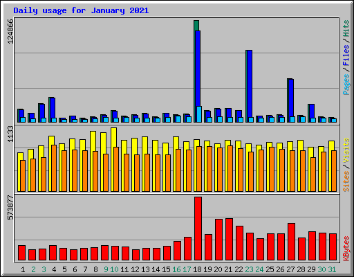 Daily usage for January 2021