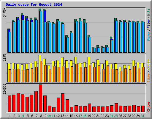 Daily usage for August 2024