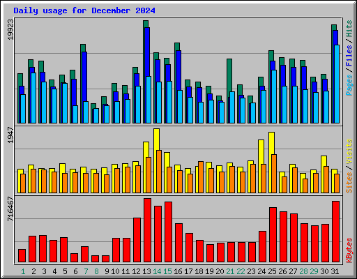 Daily usage for December 2024