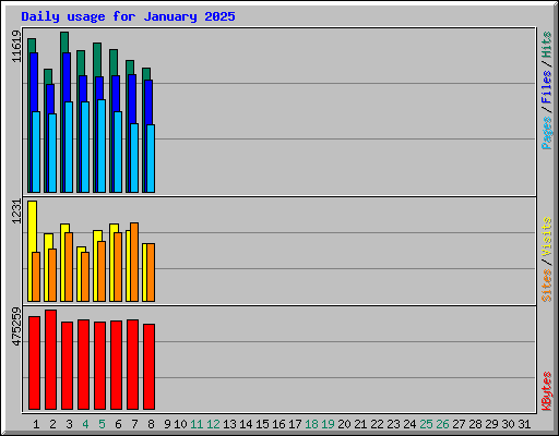 Daily usage for January 2025