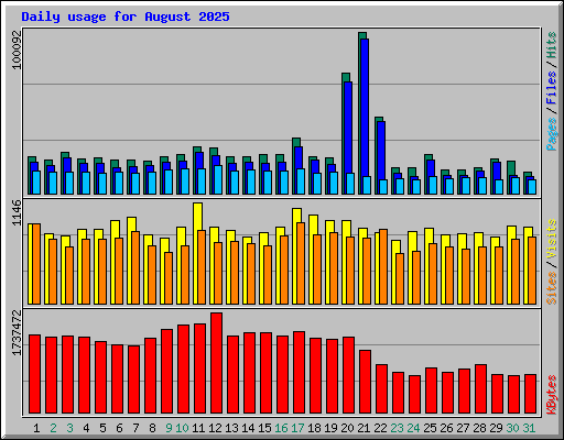 Daily usage for August 2025