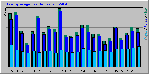 Hourly usage for November 2019