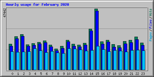 Hourly usage for February 2020