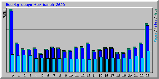 Hourly usage for March 2020