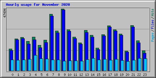 Hourly usage for November 2020