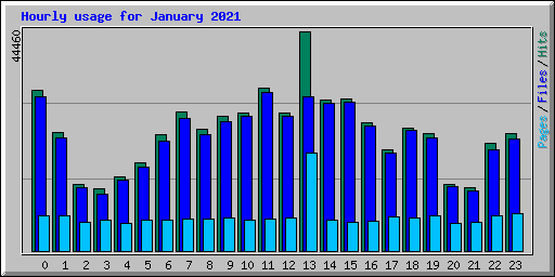 Hourly usage for January 2021