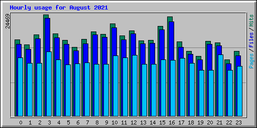 Hourly usage for August 2021