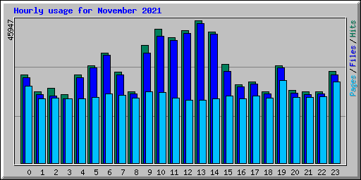 Hourly usage for November 2021