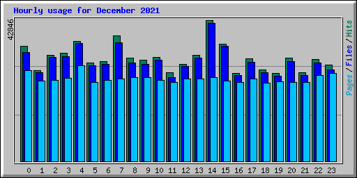 Hourly usage for December 2021