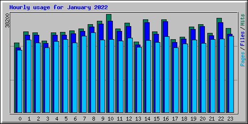 Hourly usage for January 2022