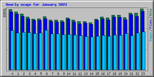 Hourly usage for January 2023