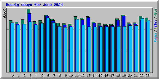 Hourly usage for June 2024