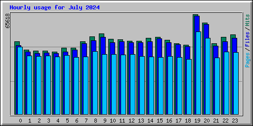 Hourly usage for July 2024