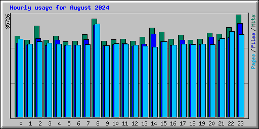 Hourly usage for August 2024