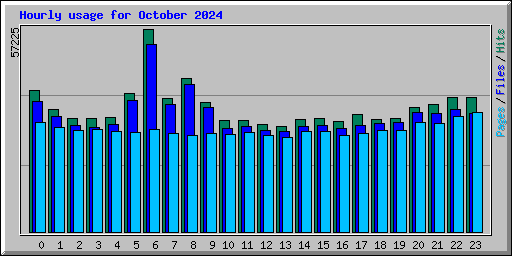 Hourly usage for October 2024