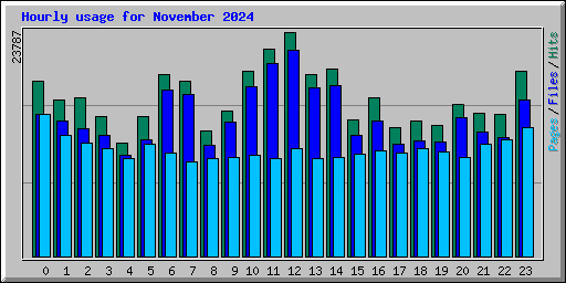 Hourly usage for November 2024