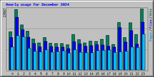 Hourly usage for December 2024