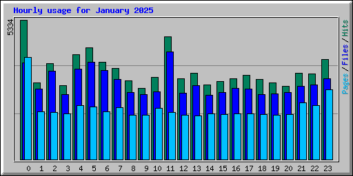 Hourly usage for January 2025