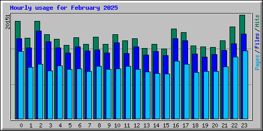 Hourly usage for February 2025