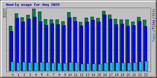 Hourly usage for May 2025