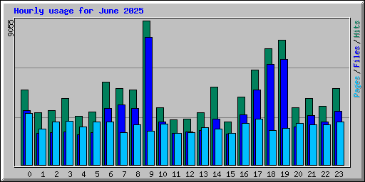 Hourly usage for June 2025