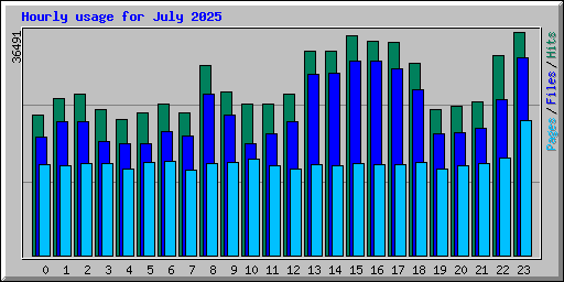 Hourly usage for July 2025