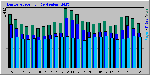 Hourly usage for September 2025