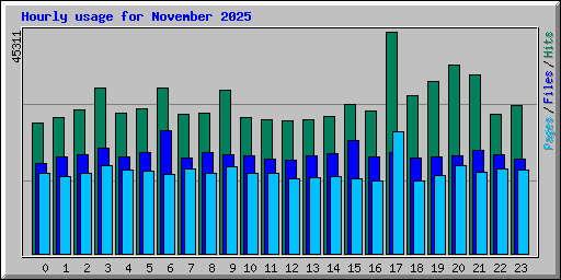 Hourly usage for November 2025