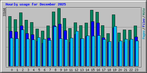 Hourly usage for December 2025