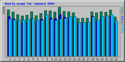 Hourly usage for January 2026