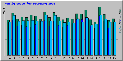 Hourly usage for February 2026