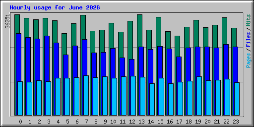 Hourly usage for June 2026
