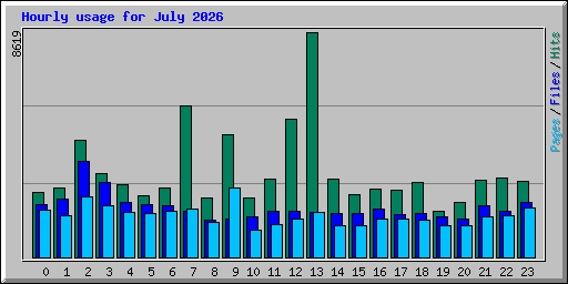 Hourly usage for July 2026